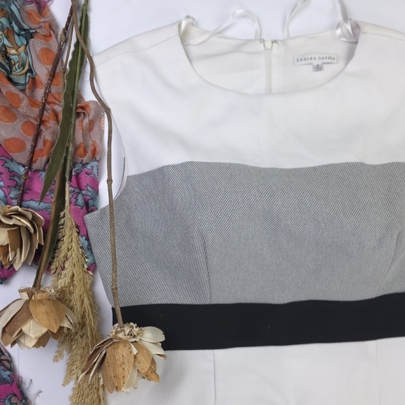 Sandra Darren Elegant Off White and Gray Striped Dress Sz 10 - Picture 6 of 12